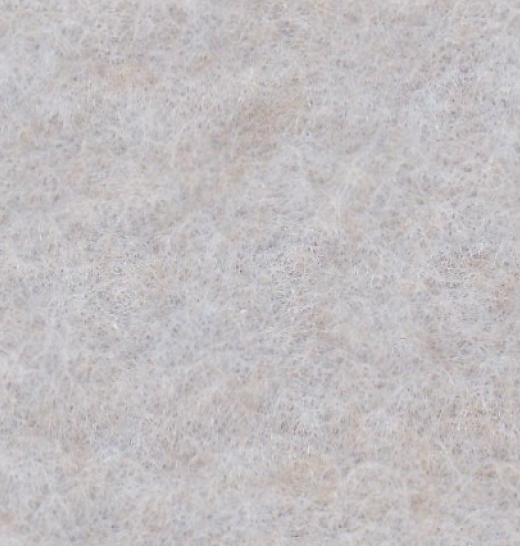 FM01