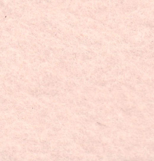 FM21