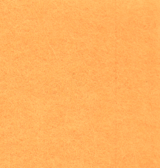 FM04