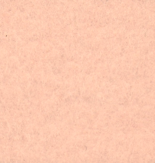 FM08