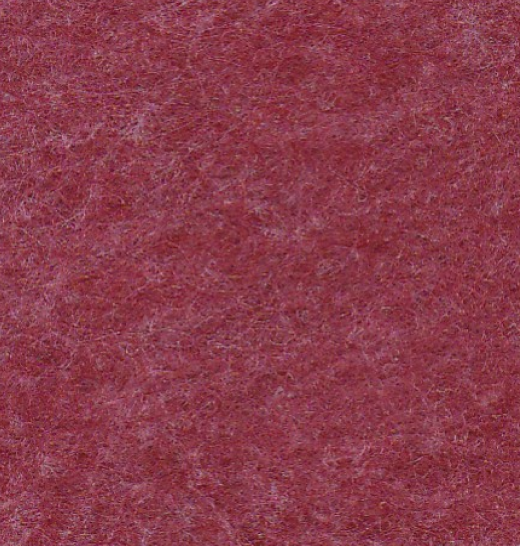 FM25